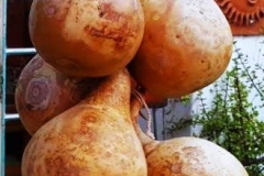 calabashes-hanging-to-dry-3